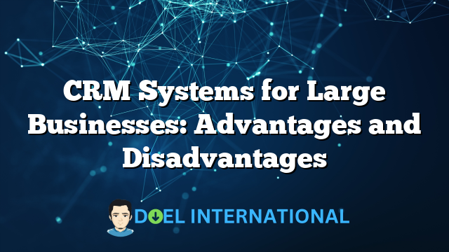 CRM Systems for Large Businesses: Advantages and Disadvantages