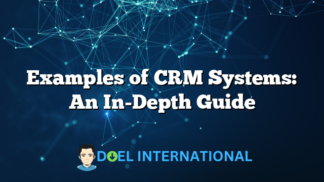 Examples of CRM Systems: An In-Depth Guide