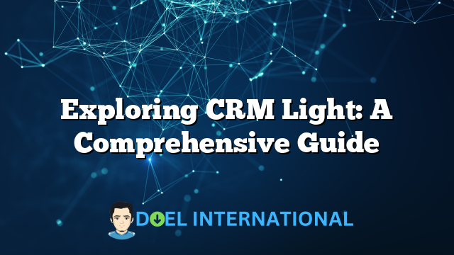 Exploring CRM Light: A Comprehensive Guide