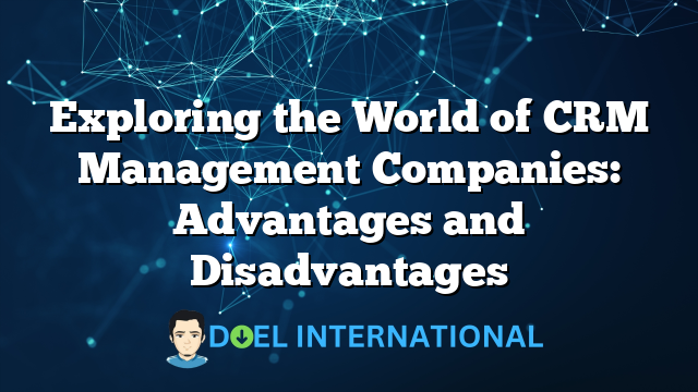 Exploring the World of CRM Management Companies: Advantages and Disadvantages