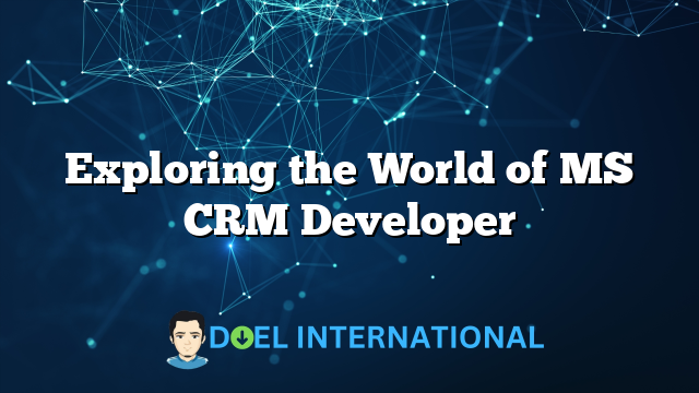 Exploring the World of MS CRM Developer