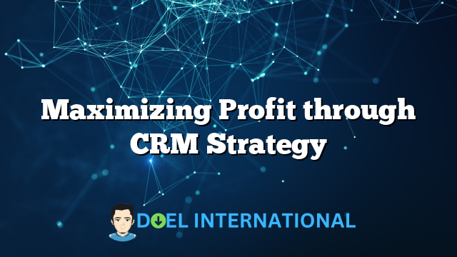 Maximizing Profit through CRM Strategy