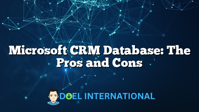 Microsoft CRM Database: The Pros and Cons