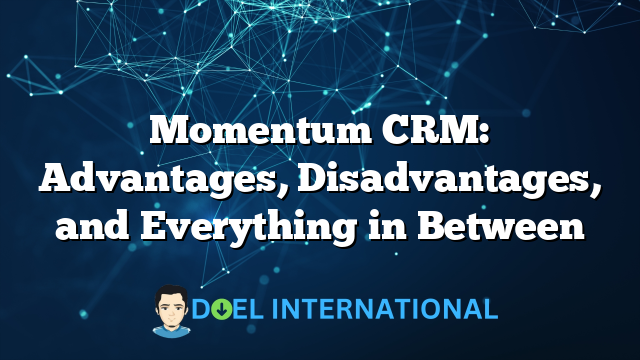 Momentum CRM: Advantages, Disadvantages, and Everything in Between