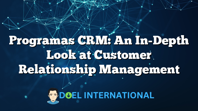 Programas CRM: An In-Depth Look at Customer Relationship Management