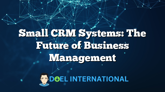 Small CRM Systems: The Future of Business Management