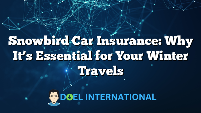 Snowbird Car Insurance: Why It’s Essential for Your Winter Travels