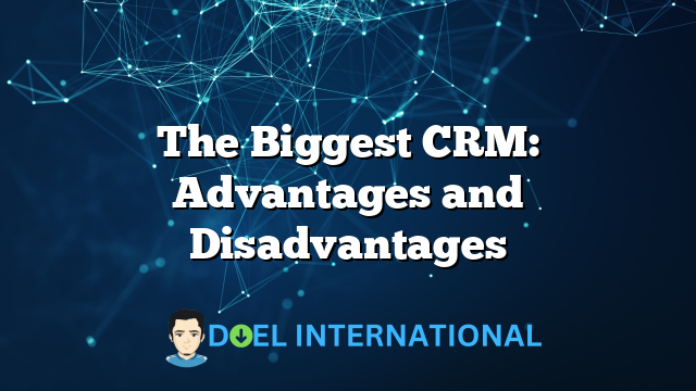 The Biggest CRM: Advantages and Disadvantages