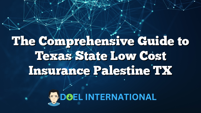 The Comprehensive Guide to Texas State Low Cost Insurance Palestine TX