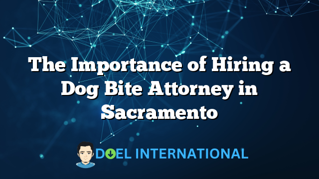 The Importance of Hiring a Dog Bite Attorney in Sacramento