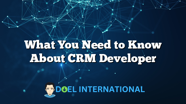 What You Need to Know About CRM Developer