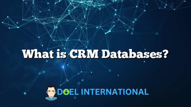 What is CRM Databases?