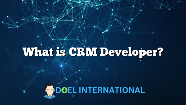 What is CRM Developer?