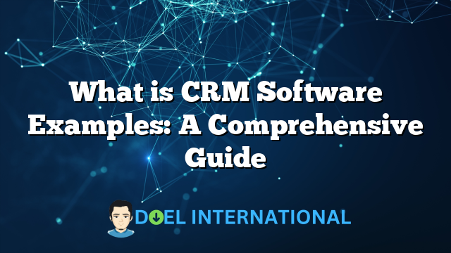 What is CRM Software Examples: A Comprehensive Guide